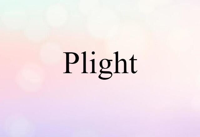 Plight (noun) Definition, Meaning & Examples