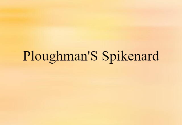 Ploughman's Spikenard (noun) Definition, Meaning & Examples