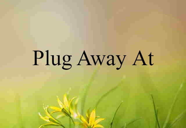 plug away at