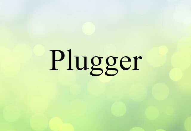 Plugger (noun) Definition, Meaning & Examples