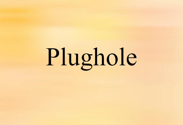 Plughole (noun) Definition, Meaning & Examples