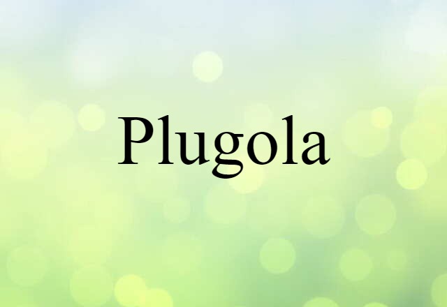 plugola