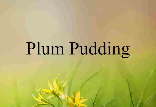 plum pudding