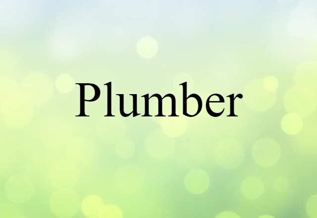 Plumber (noun) Definition, Meaning & Examples