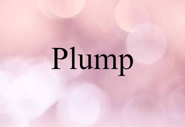 Plump (noun) Definition, Meaning & Examples