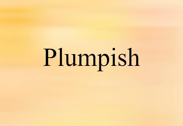 Plumpish (noun) Definition, Meaning & Examples