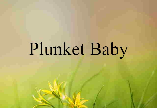 Plunket baby