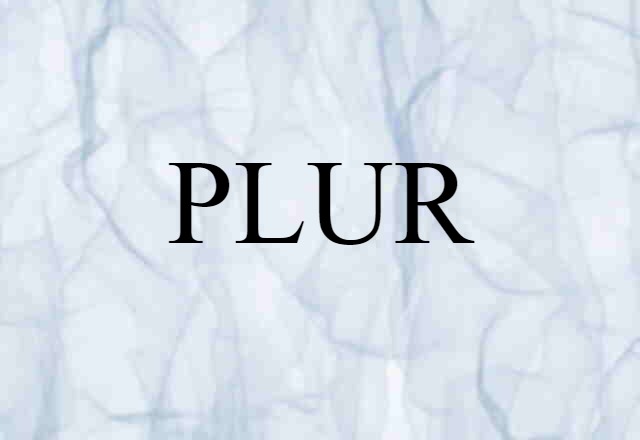 PLUR (noun) Definition, Meaning & Examples