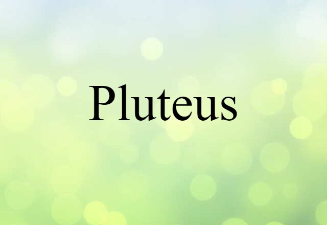 pluteus