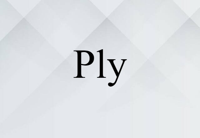 Ply (noun) Definition, Meaning & Examples