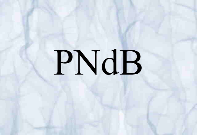 PNdB (noun) Definition, Meaning & Examples