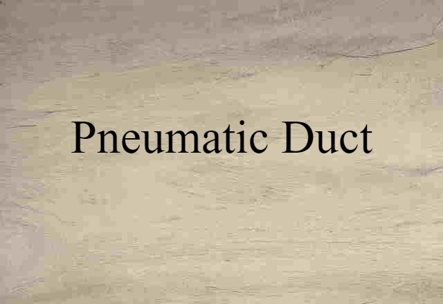 pneumatic duct