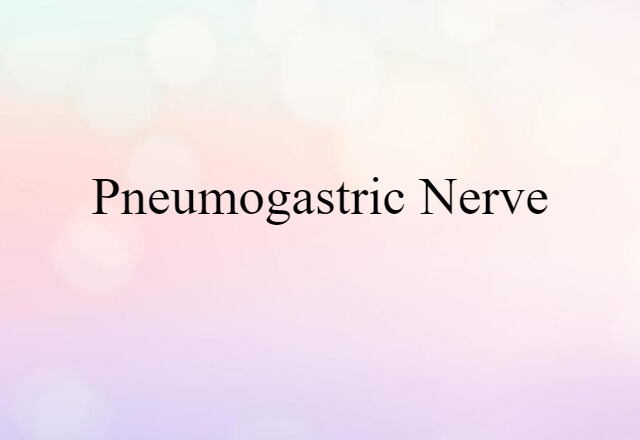 pneumogastric nerve