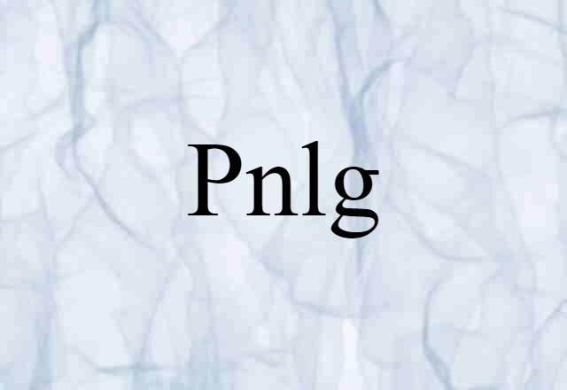 Pnlg (noun) Definition, Meaning & Examples