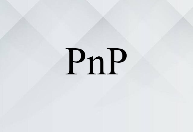 PnP (noun) Definition, Meaning & Examples