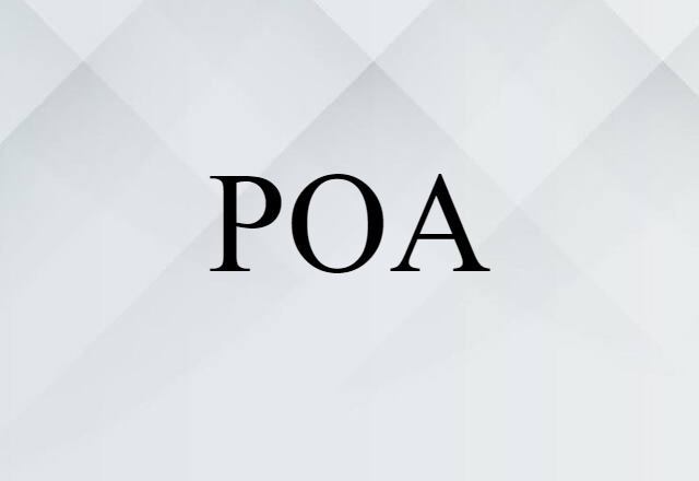 POA (noun) Definition, Meaning & Examples