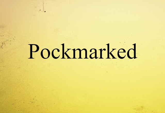 Pockmarked (noun) Definition, Meaning & Examples