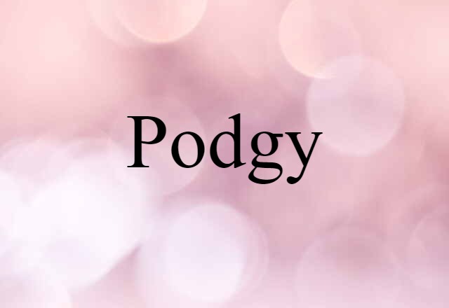 Podgy (noun) Definition, Meaning & Examples