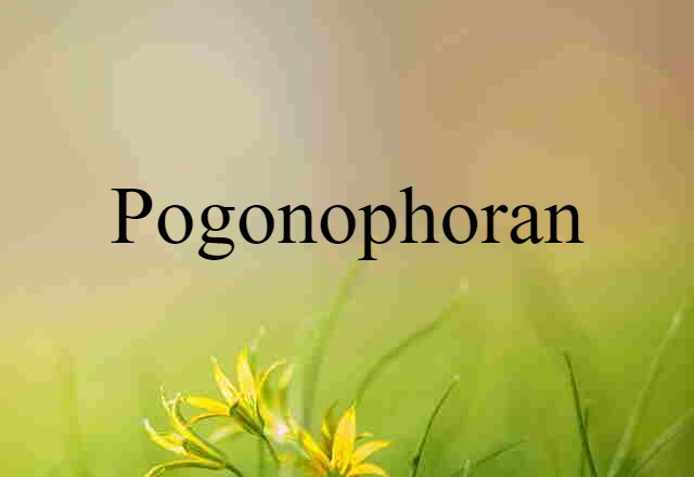 Pogonophoran (noun) Definition, Meaning & Examples