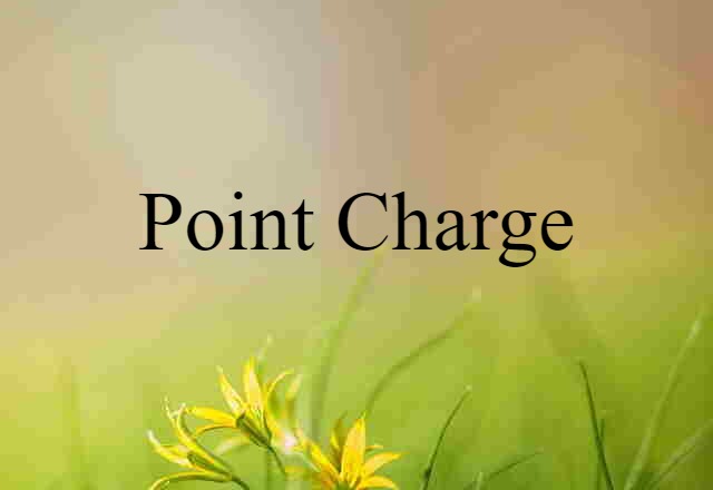 point charge