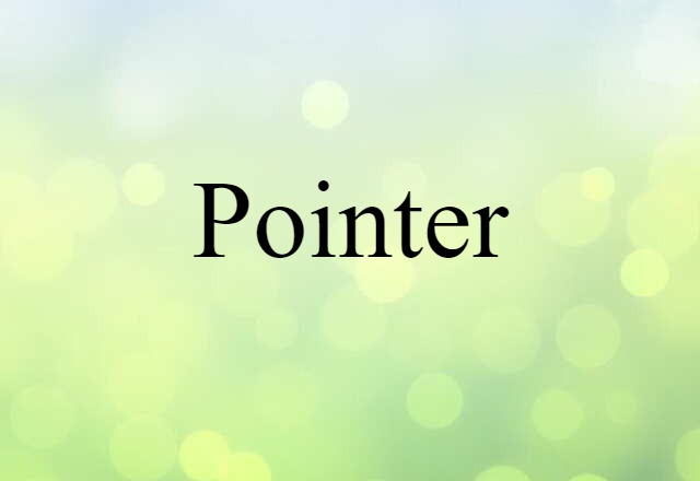 pointer