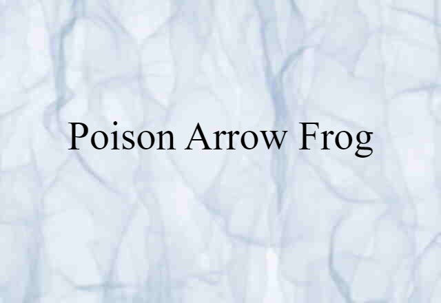 Poison Arrow Frog (noun) Definition, Meaning & Examples