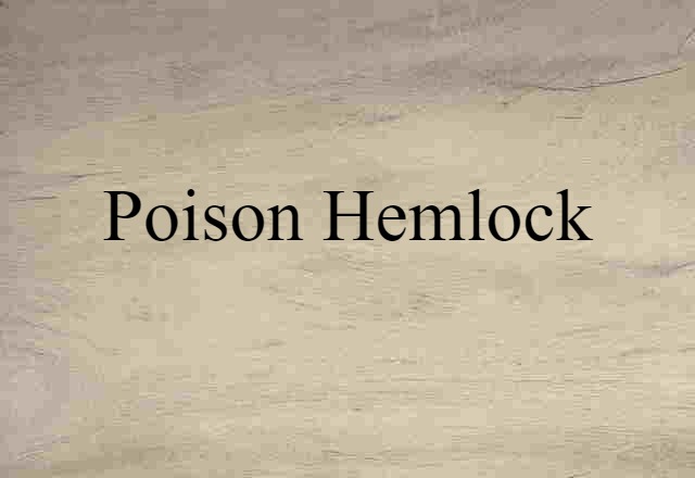 poison hemlock