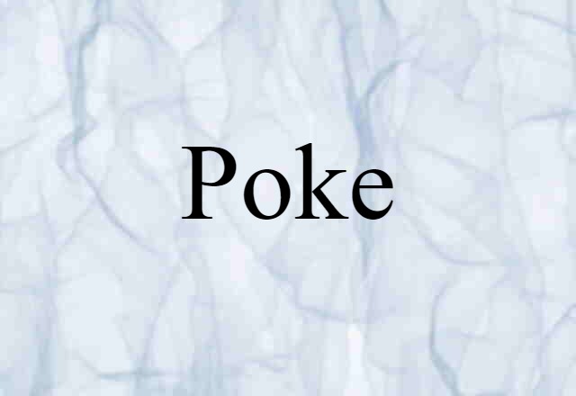 Poke (noun) Definition, Meaning & Examples