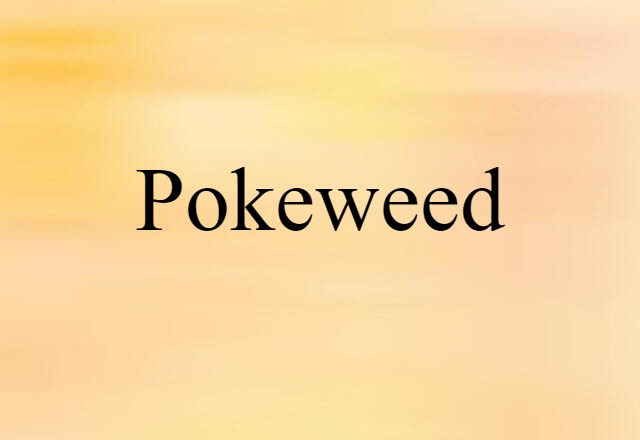 pokeweed