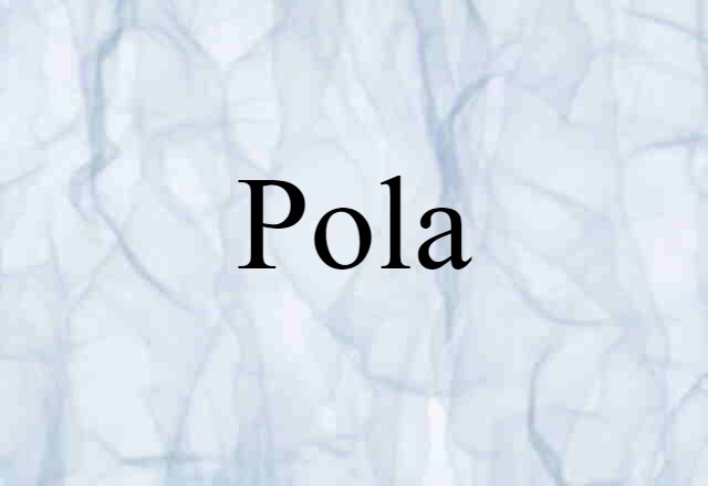 Pola (noun) Definition, Meaning & Examples