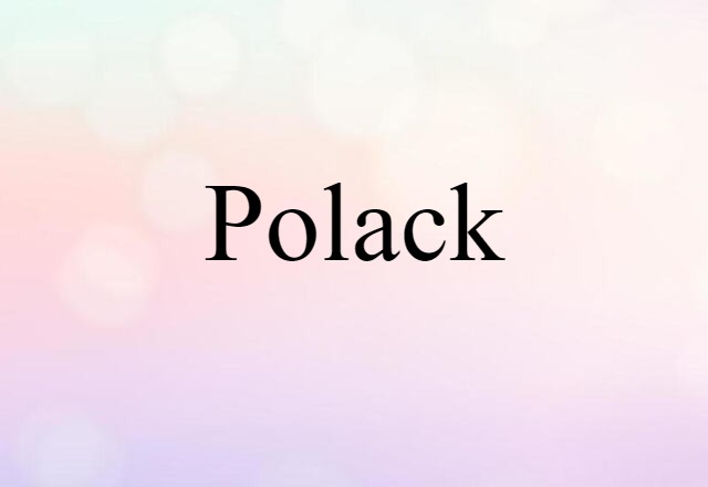 Polack (noun) Definition, Meaning & Examples