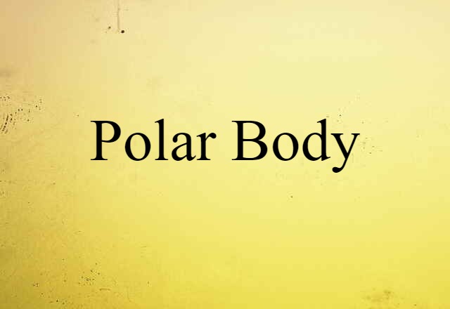 polar body