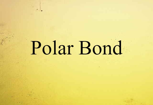 Polar Bond (noun) Definition, Meaning & Examples