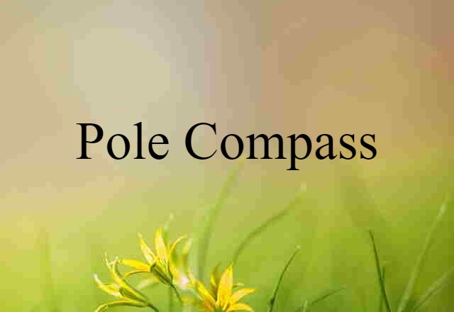 pole compass