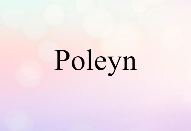 Poleyn (noun) Definition, Meaning & Examples