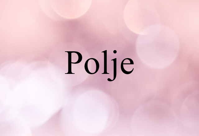 Polje (noun) Definition, Meaning & Examples