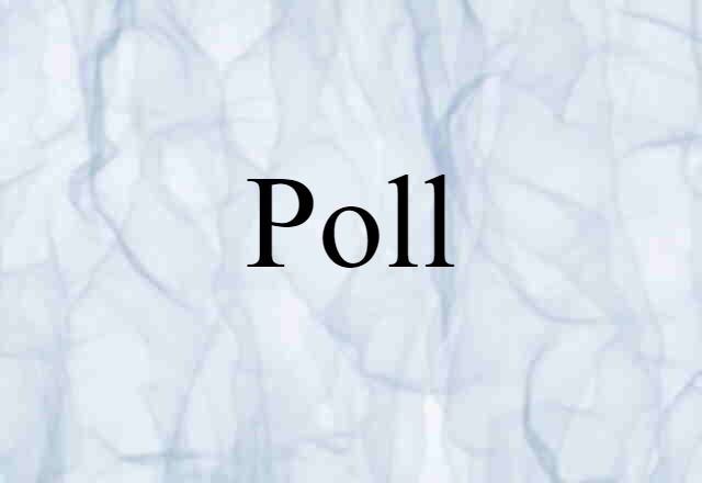 Poll (noun) Definition, Meaning & Examples