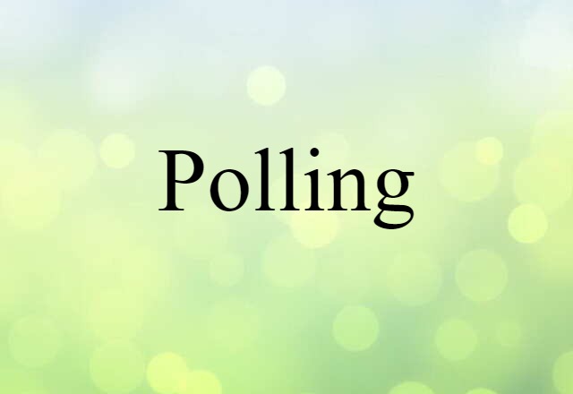 Polling (noun) Definition, Meaning & Examples