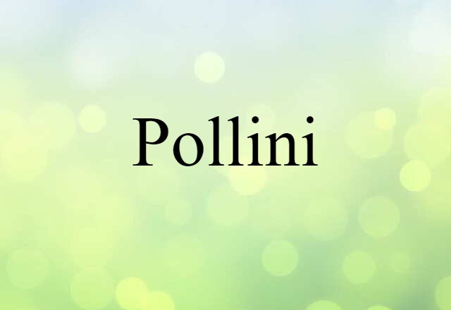 Pollini (noun) Definition, Meaning & Examples