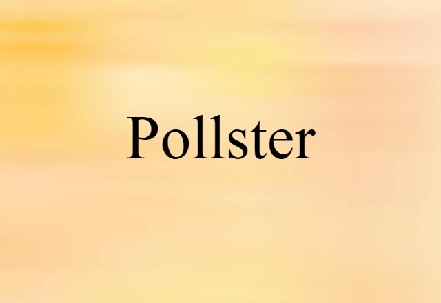 Pollster (noun) Definition, Meaning & Examples