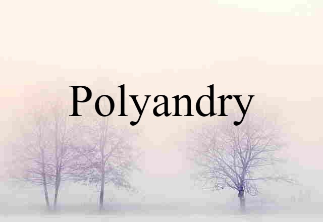 Polyandry (noun) Definition, Meaning & Examples