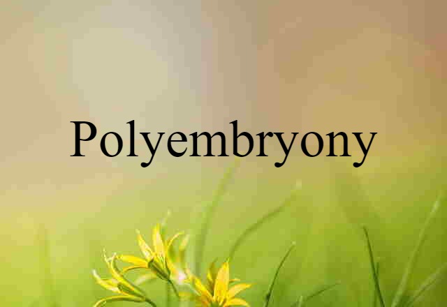 Polyembryony (noun) Definition, Meaning & Examples