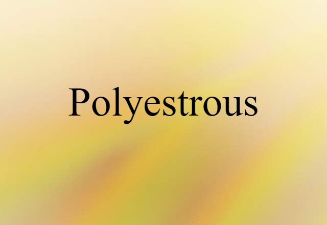 Polyestrous (noun) Definition, Meaning & Examples