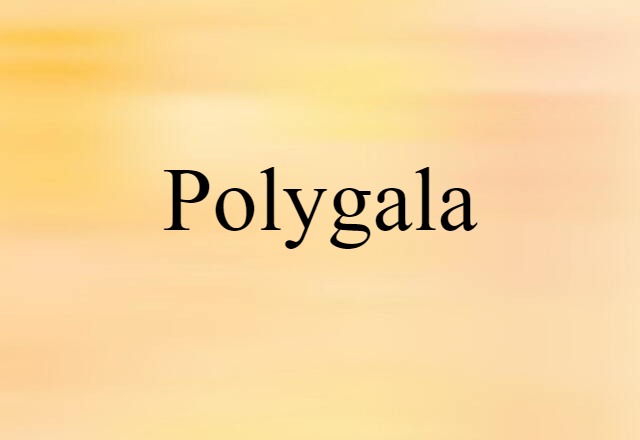 Polygala (noun) Definition, Meaning & Examples