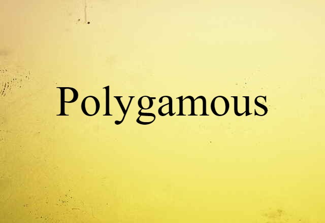 Polygamous (noun) Definition, Meaning & Examples