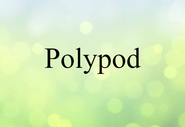 polypod