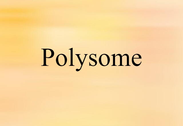 polysome