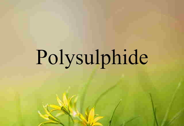 Polysulphide (noun) Definition, Meaning & Examples