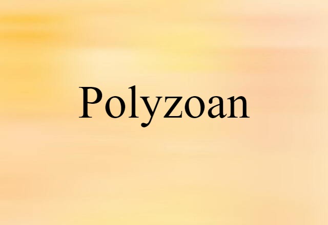 Polyzoan (noun) Definition, Meaning & Examples