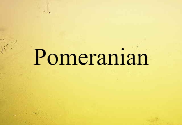 Pomeranian (noun) Definition, Meaning & Examples